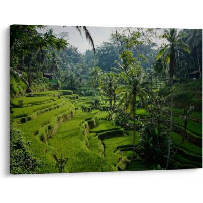 Obraz rýžových teras Tegalalang, Bali, jednodílný 70x50 cm