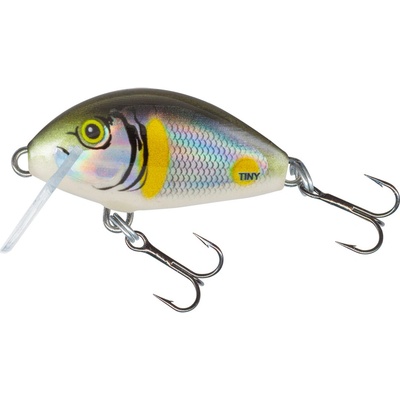 Salmo Tiny Smelt Floating 3 cm – Hledejceny.cz