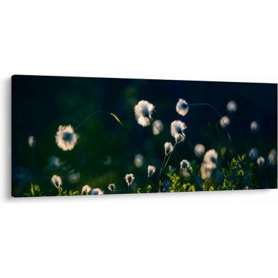Obraz - Tráva, jednodielne 120x50 cm