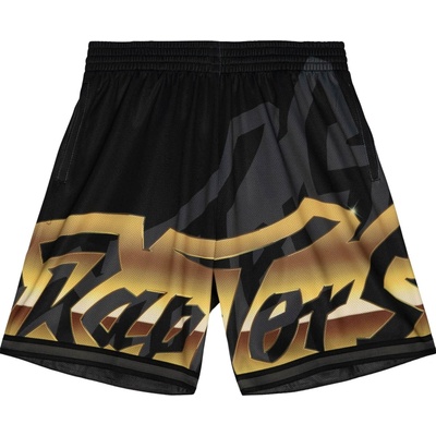 Mitchell & Ness Pánské kraťasy Toronto Raptors NBA Big Face 4.0 Shorts