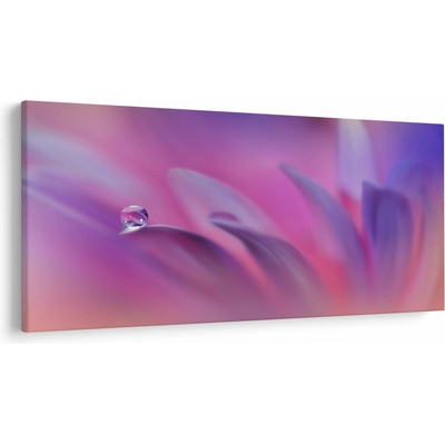 Obraz - Kvapka na kvete, jednodielne 250x125 cm