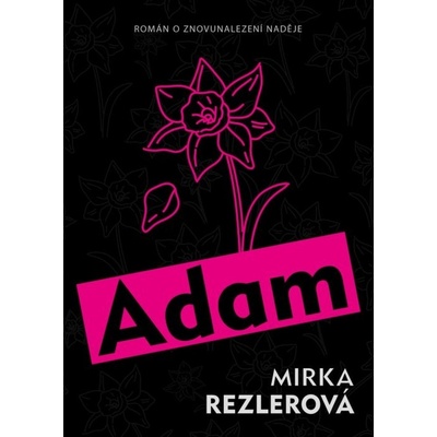 Adam – Hledejceny.cz