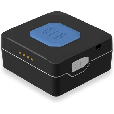 Teltonika TMT250