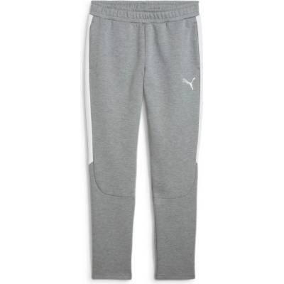 Puma teamEVOSTRIPE Pants šedá