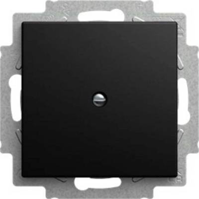 Busch-Jaeger 2CKA001715A0321