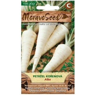 Petržlen koreňový ALBA MoravoSeed