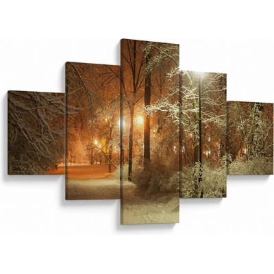 Obraz - Zasněžený park, pětidílný 125x70 cm