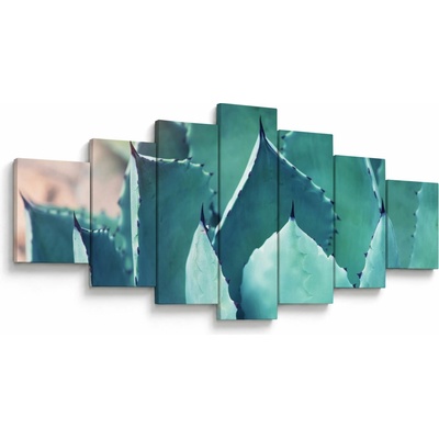 Obraz - Sukulent, sedemdielne 210x100 cm