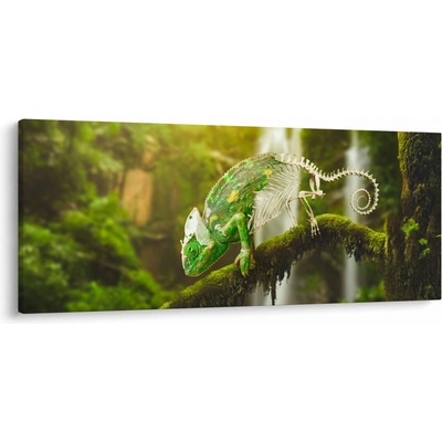 Obraz chameleona, jednodílný 120x50 cm