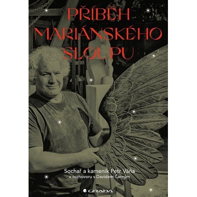 Příběh Mariánského sloupu - David Černý