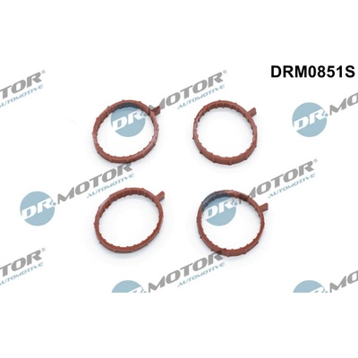 DR.MOTOR AUTOMOTIVE Sada tesnení kolena nasávacieho potrubia DRM0851S