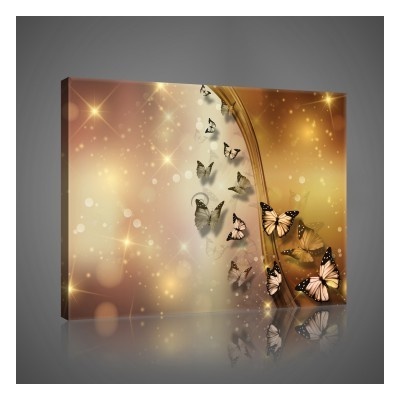 Obraz na plátne obdĺžník - OB1041 - Motýle 80cm x 60cm - O6