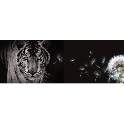 Preinterier FT0223 Fototapeta na stenu Tiger a púpava vlies 620cm x 219cm