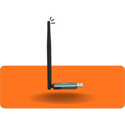SONOFF Dongle-PP10 Dongle Plus
