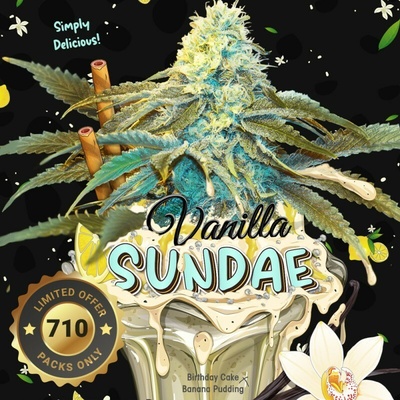 T.H. Seeds Vanilla Sundae 710 Special Edition semienka neobsahujú THC 7 ks