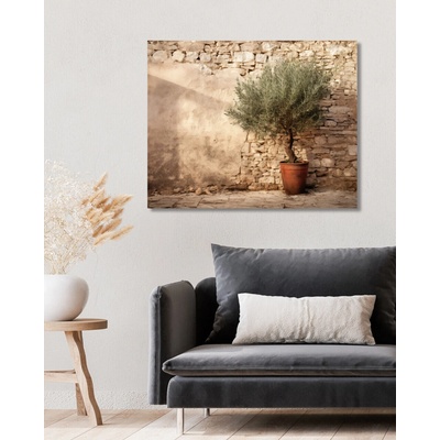 ZUTY Obrazy na stenu - Olivovník pri bielom kamennom múre Rámovanie: vypnuté plátno na rám, Rozmer: 40x50 cm