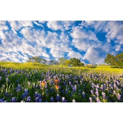 Dimex MS-5-1330 Vliesová fototapeta Bluebonnet rozměry 375 x 250 cm