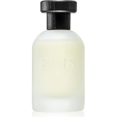 Bois 1920 Vetiver Ambrato parfémovaná voda unisex 100 ml