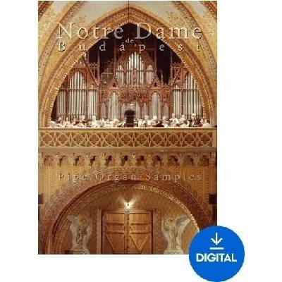 INSPIRED ACOUSTICS Notre Dame de Budapest Looped Edition (Digitálny produkt)