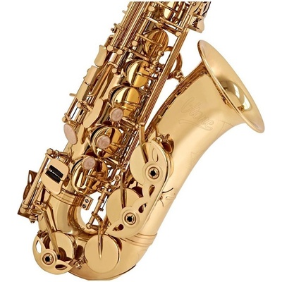 V-Tone AS 100 – Hledejceny.cz