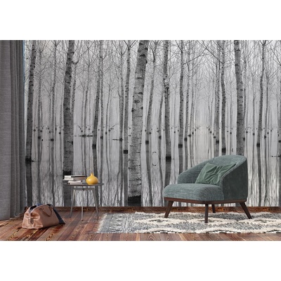 AG design FTNXXL-3004 vliesová fototapeta Birch Reflection rozměry 360 x 270 cm