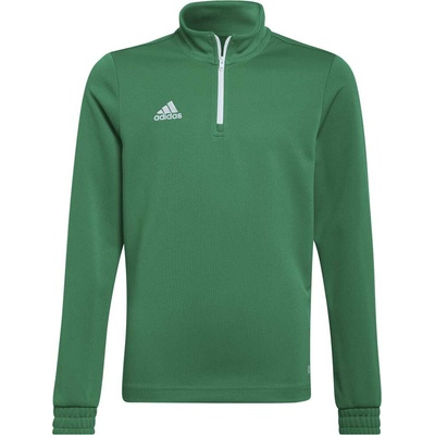 adidas Entrada 22 Training Top zelená
