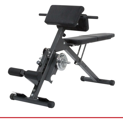Finnlo AB Back Trainer