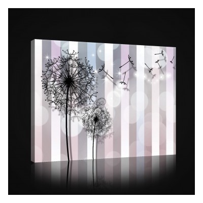 Obraz na plátne obdĺžník - OB1009 - Púpava 80cm x 60cm - O6