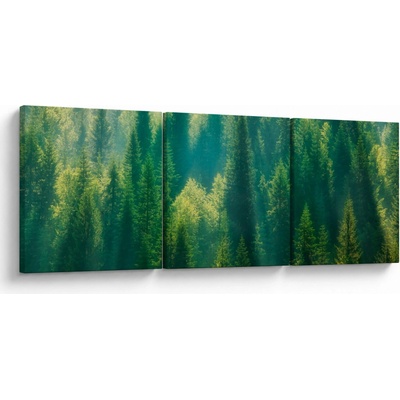 Obraz - Borovicový les, třídílný 150x50 cm