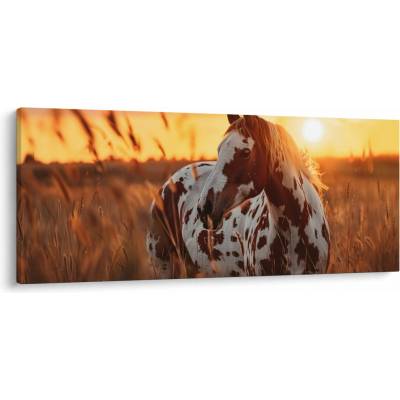 Obraz - Kôň pri západe slnka, jednodielne 120x50 cm