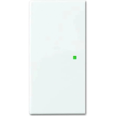 Busch-Jaeger 2CKA006220A0360