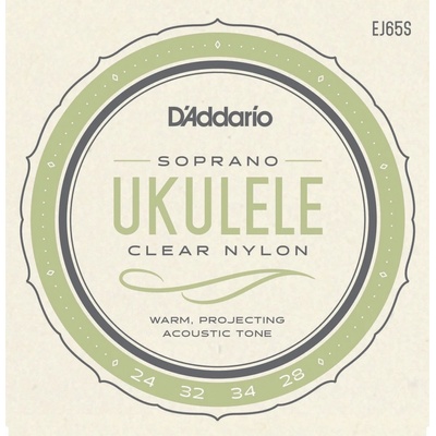 D'addario EJ65S