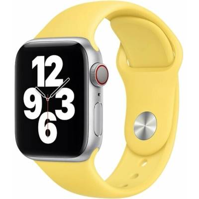 Apple Watch Acc/44/Ginger SB-Reg MGQQ3ZM/A