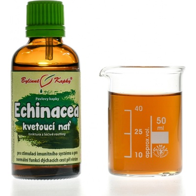 Bylinné kapky Echinacea třapatka kapky kvetoucí nať tinktura 50 ml – Hledejceny.cz
