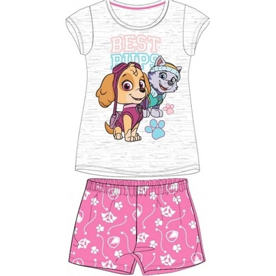Dovoz EU Paw Patrol růžové