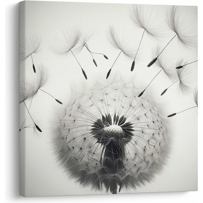 Obraz detail púpavy