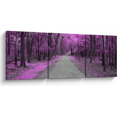Obraz - Cesta parkem, třídílný 120x40 cm