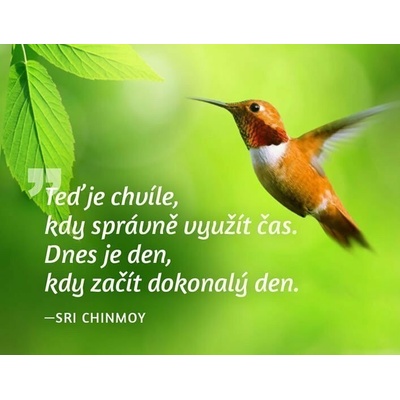 Magnet na lednici Teď je chvíle kdy správně využít čas. Dnes je den kdy začít dokonalý den. – Hledejceny.cz