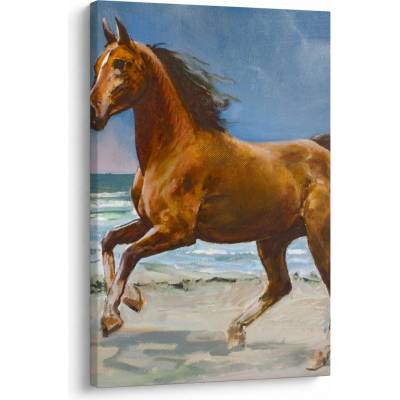 Obraz koně na pláži, jednodílný 60x90 cm