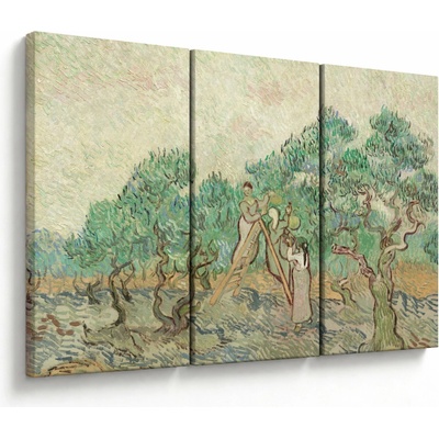 Obraz - Vincent van Gogh, The Olive Orchard, reprodukcia, trojdielne 120x80 cm
