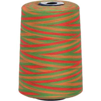 Polyesterová nit žíhaná Viga 80 multicolor - 9041