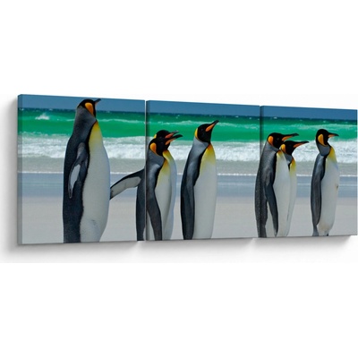 Obraz - Skupina královských Tučňáků, třídílný 120x40 cm