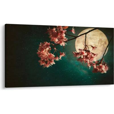 Obraz - Sakura v splne, jednodielne 120x70 cm