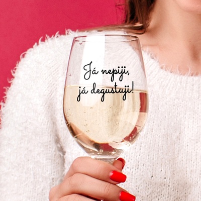 Ahome Sklenice na víno Já nepiju já degustuji 450 ml