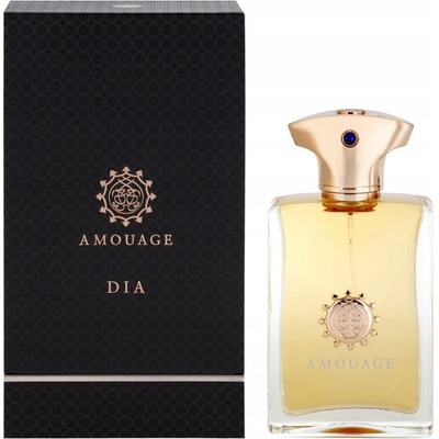 Amouage Dia parfémovaná voda pánská pánská 100 ml