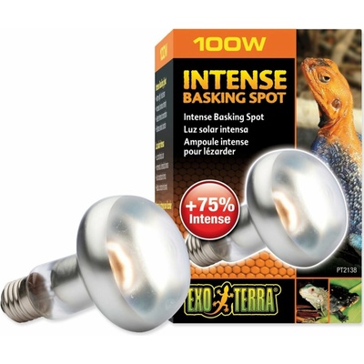Hagen Exo Terra Intense Basking Spot 100 W – Hledejceny.cz