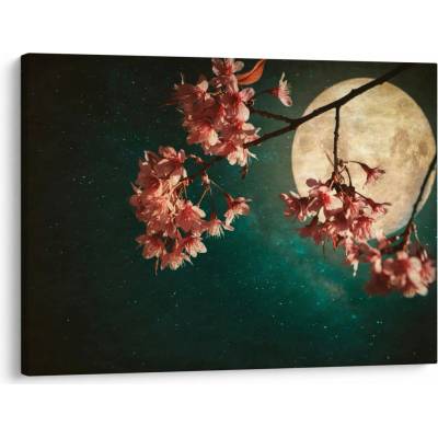 Obraz - Sakura v splne, jednodielne 70x50 cm