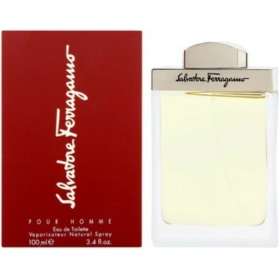 Ferragamo Pour Homme toaletná voda pánska 100 ml