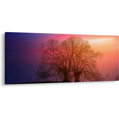Obraz stromů v mlze, jednodílný 120x50 cm