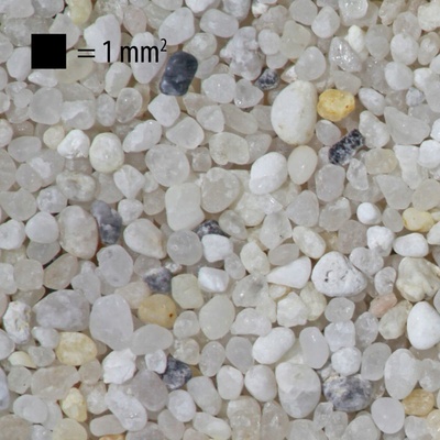 JBL Sansibar River 5 kg